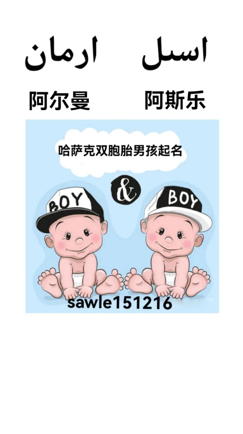 双包胎男孩起名指南
