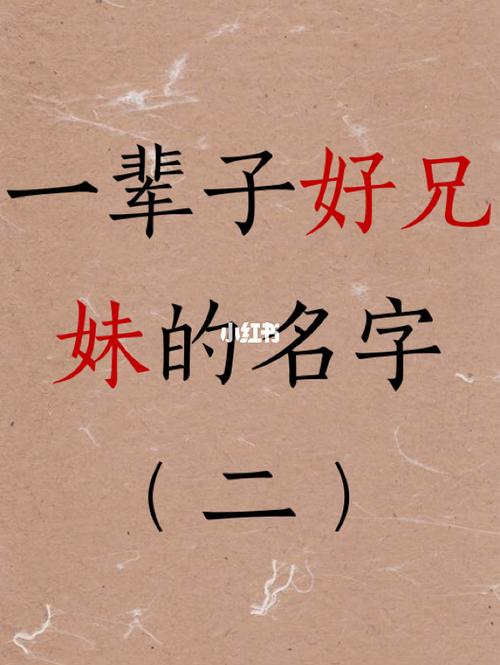 用婵娟起什么网名