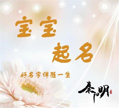 职业选手名称格式