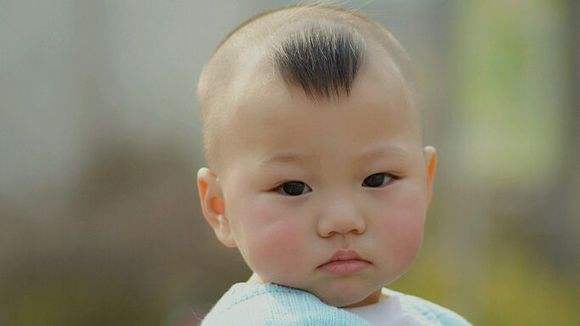 金猪年男孩名字大全
