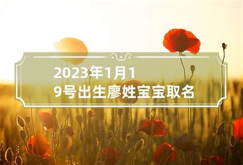 廖姓女孩名字洋气顺口