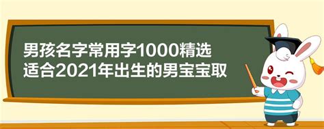 白姓男宝宝取名大全