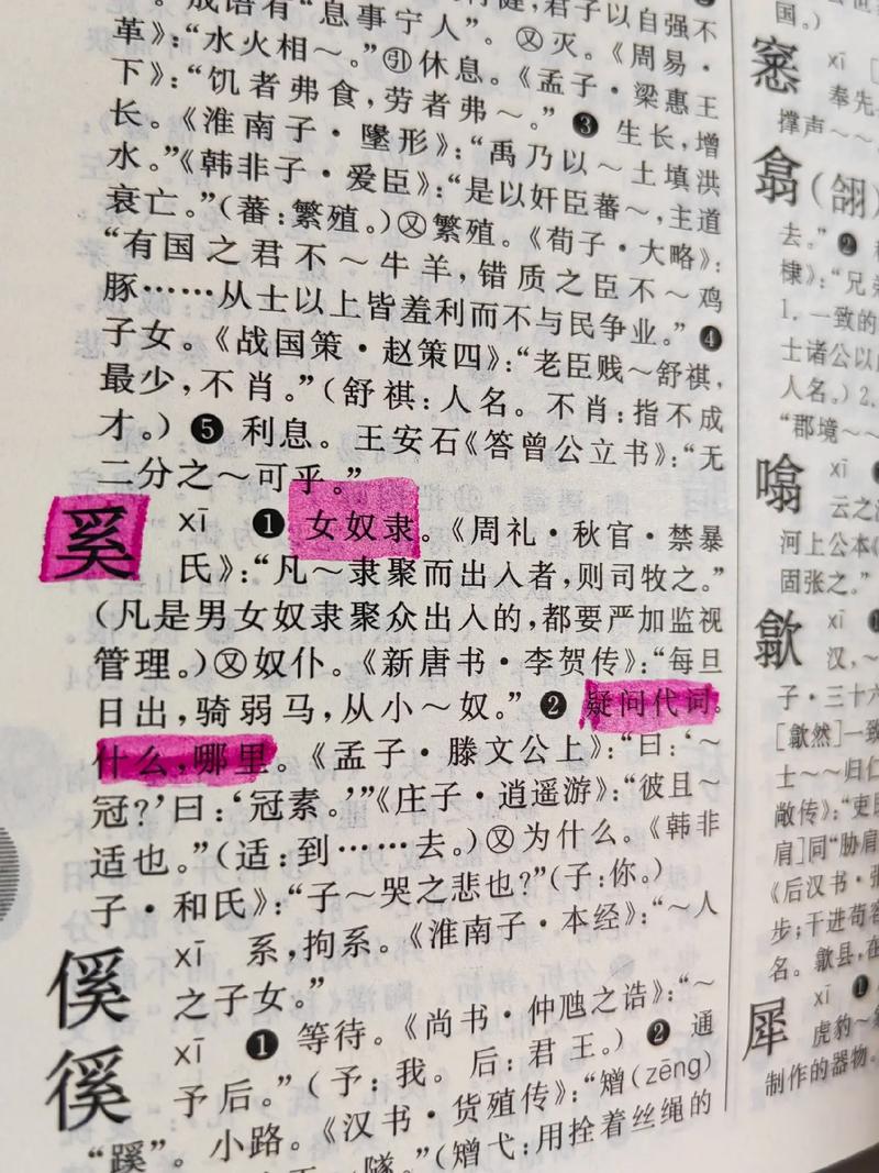 可以起名字的字女