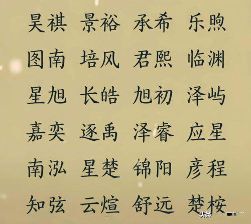 男孩姓胡取什么名字比较好