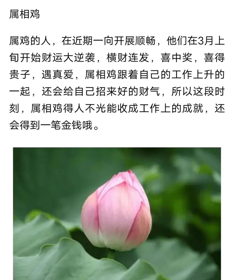 月上旬福星照耀，属相运势飙升，横财大旺，生活迈向新高峰