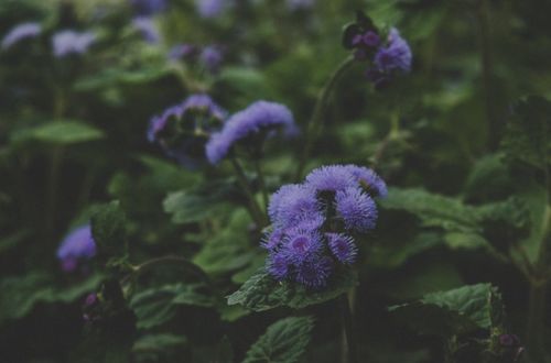 六月喜得财神偏爱的三大星座