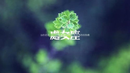 六月爱情迎来上上签，月老亲自送真爱，桃花扑面而来的三大星座
