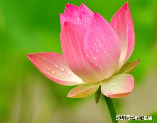 月上是什么意思