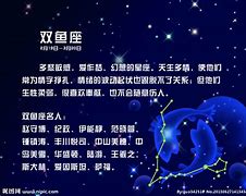 提纲