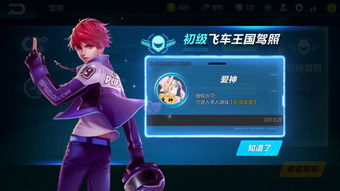 【飞车文化】个性网名定制，驰骋虚拟世界的独特标识！
