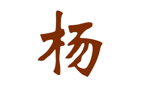 杨姓氏起名大全