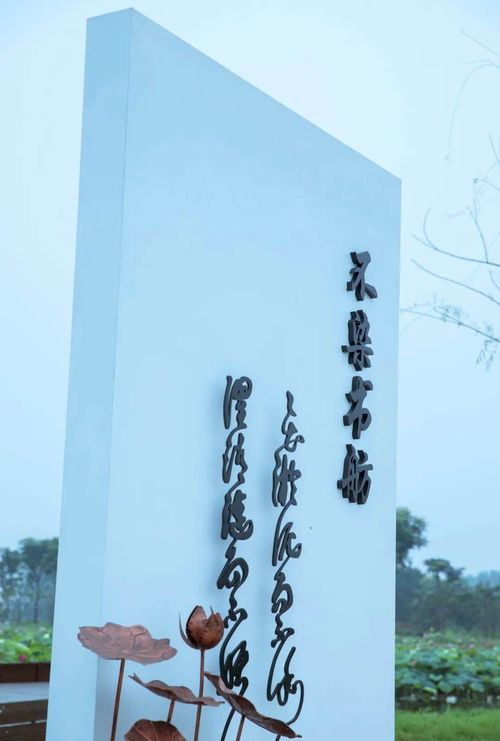 一、文化背景分析