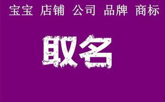 企业取名字大全