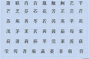 工作总结时尚昵称起名的文化研究与实践