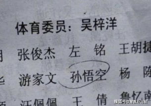 马晓这个名字怎么样?