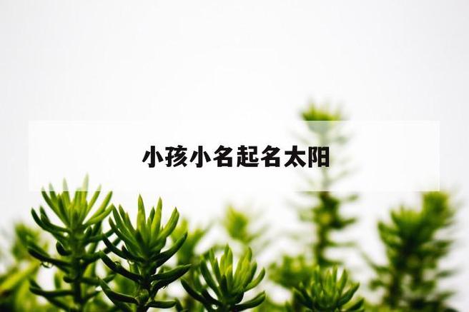 晨起名字的寓意
