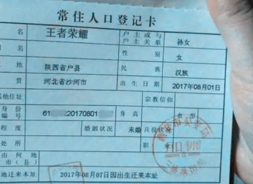 牛年手抄报字体