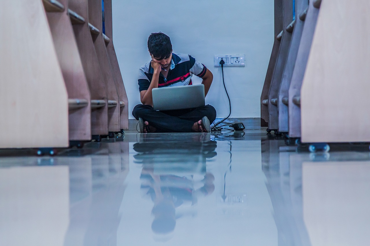 学校回应两中学生用石头砸死流浪猫，事件背后的反思与行动