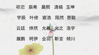 起名网站赚钱吗