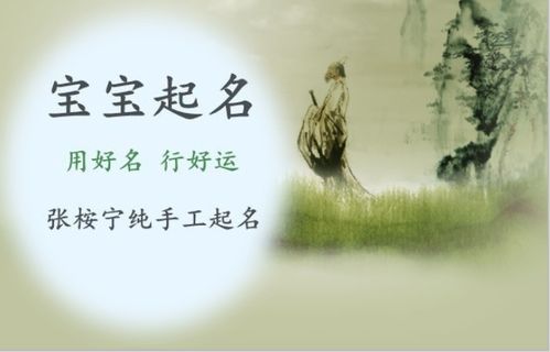1.了解“张无本起名”的核心概念