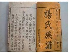杨氏的名字哪些好听