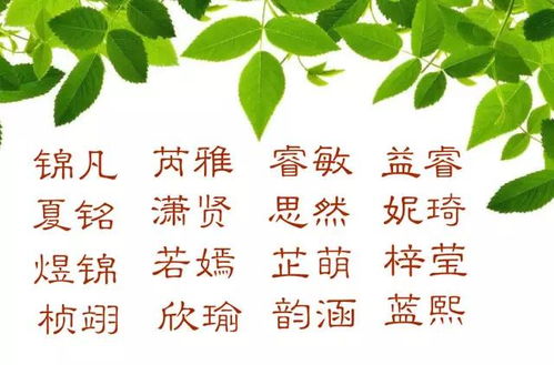 龙年的女孩取什么名字好