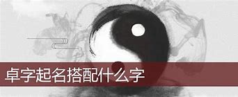 卓凯名字的寓意