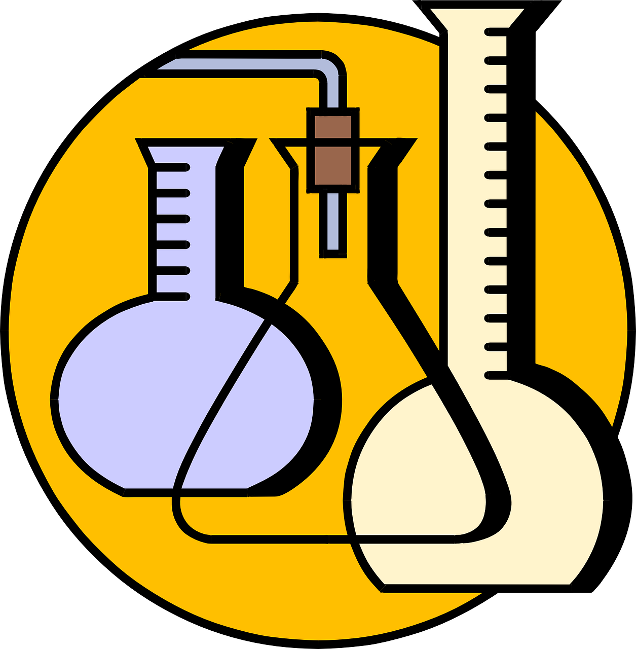 探索起名免费网打分测试，科学还是迷信？揭秘名字背后的文化与心理效应