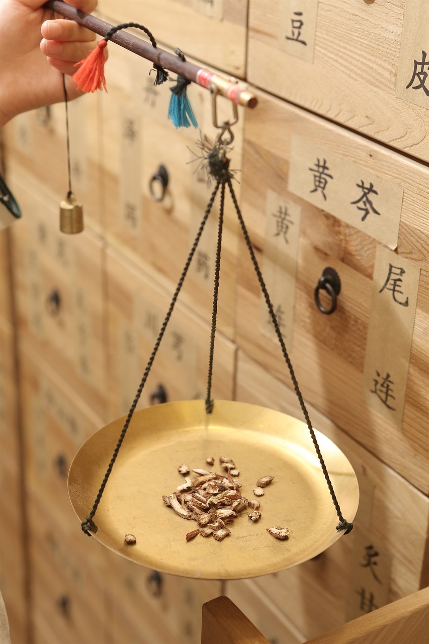 根脉相连，探索中国传统文化的现代传承