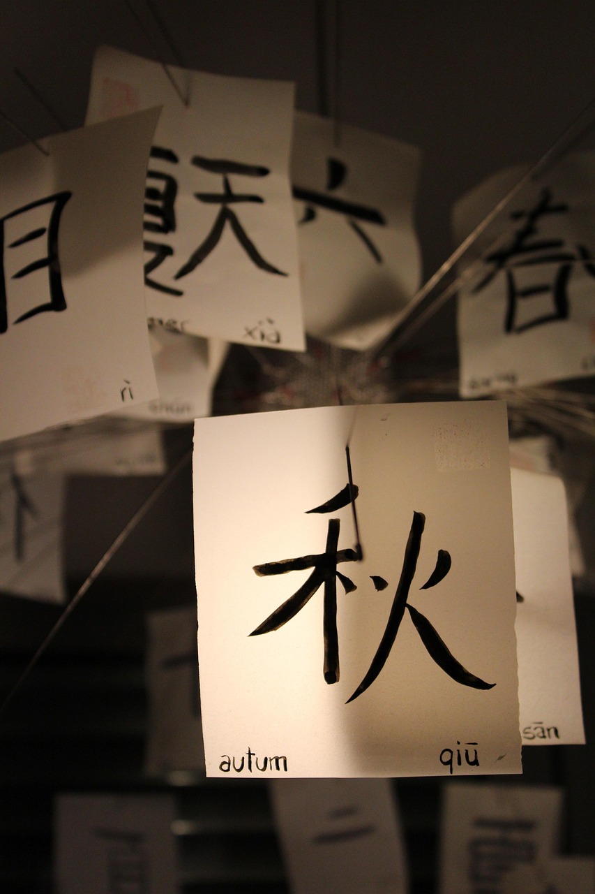 探索汉语之美，声韵和谐的成语精选
