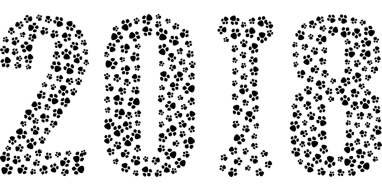 起名字的艺术，2018年免费八字起名指南